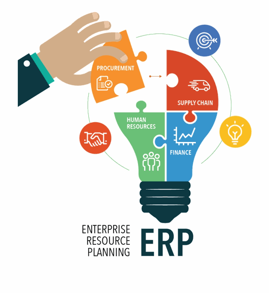 Erp-software-development-in-India